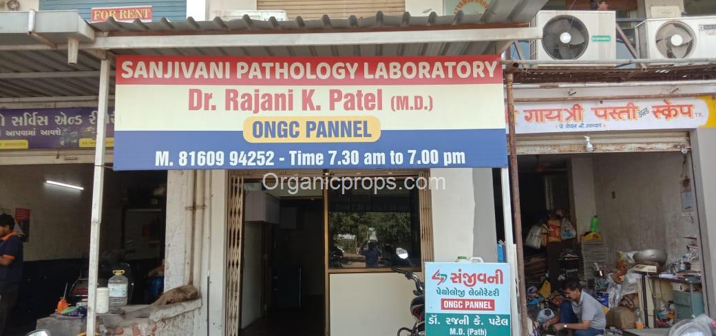 WhatsApp Image 2023-11-02 at 520231102191919312.jpeg